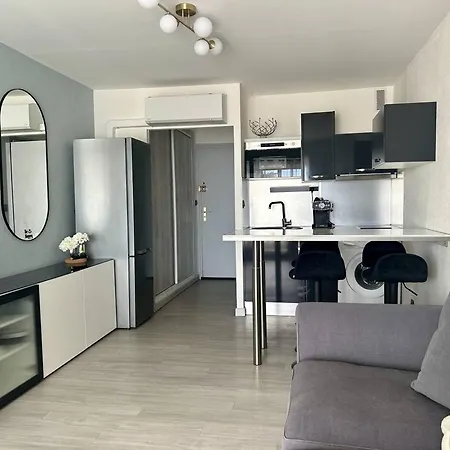 Renove Face Avec Parking, Au Cap D'agde - Fr-1-723-172 아그